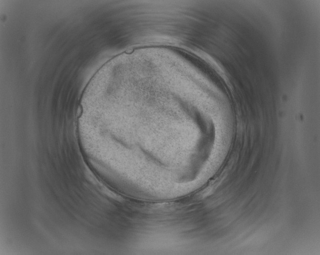 X0000072961390200608181420