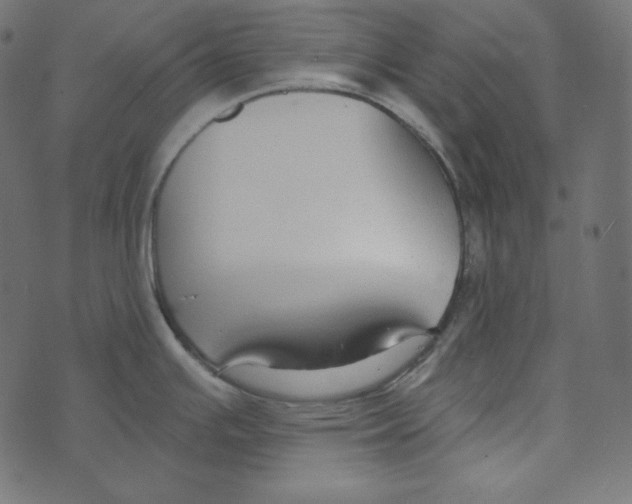 X0000072961391200608181420