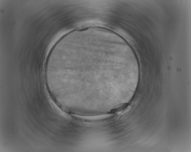 X0000072961392200608181420