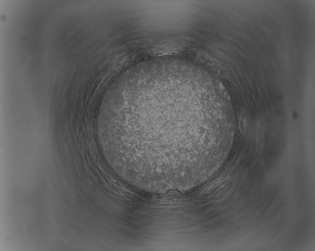 X0000072961393200608181419