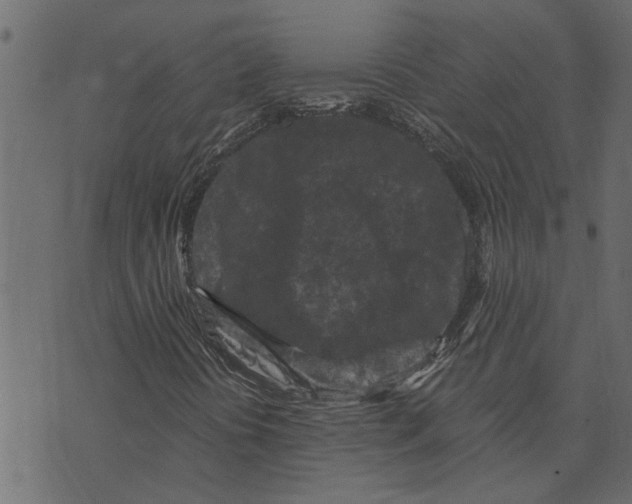 X0000072961394200608181419