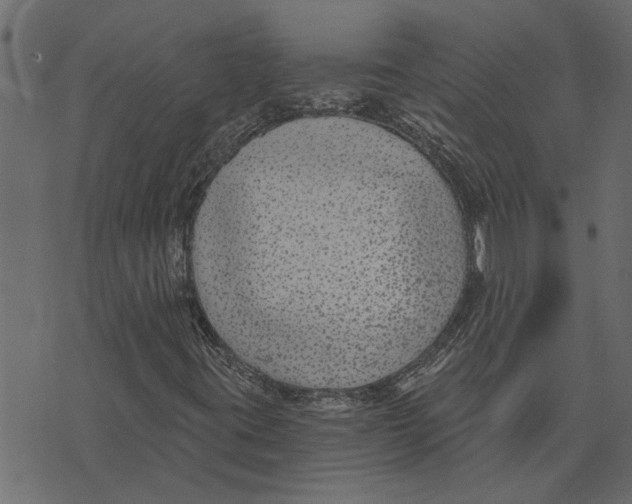 X0000072961395200608181419