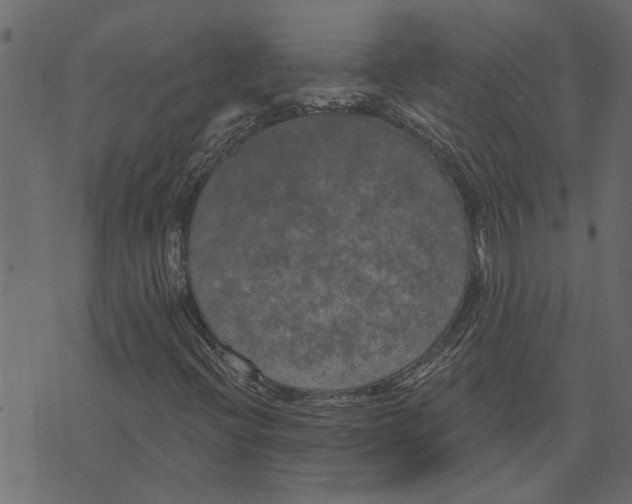 X0000072961396200608181419