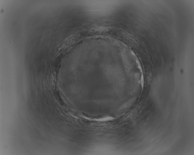 X0000072961397200608181419