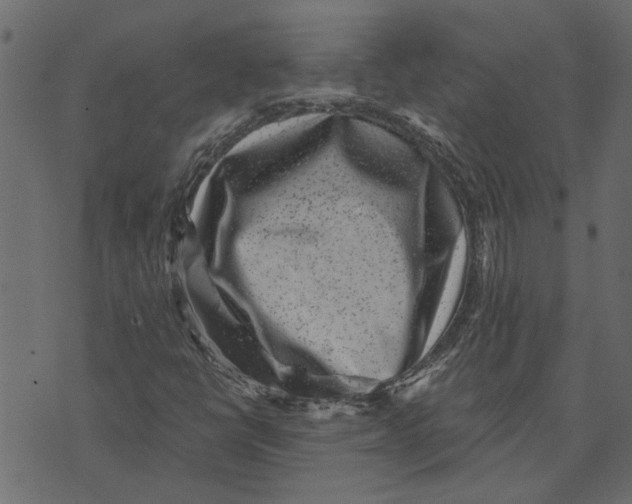 X0000072961398200608181419