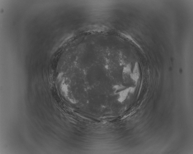 X0000072961399200608181420