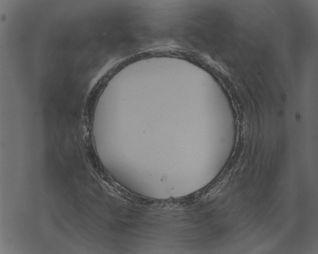 X0000072961400200608181420