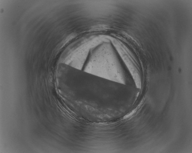 X0000072961401200608181420