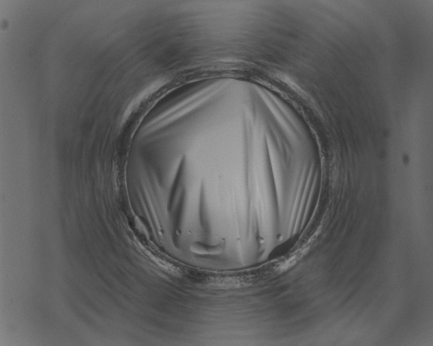 X0000072961402200608181420