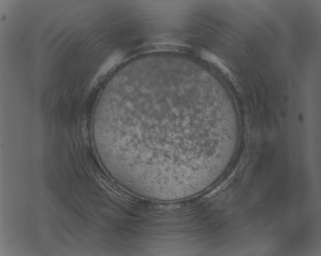 X0000072961403200608181420