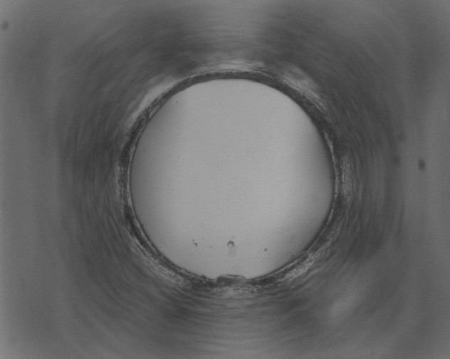 X0000072961404200608181420