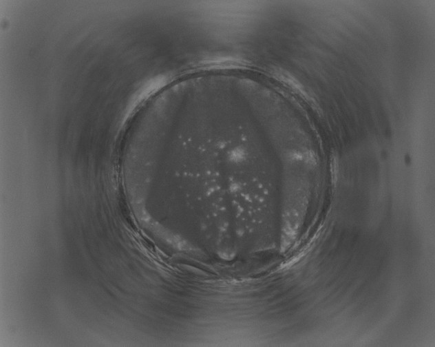 X0000072961405200608181420