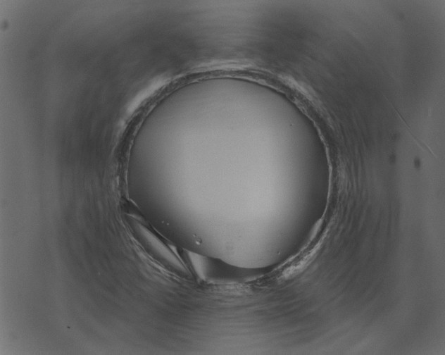 X0000072961406200608181420