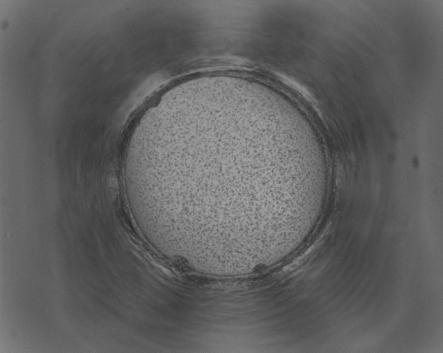 X0000072961407200608181420