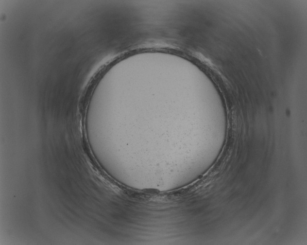 X0000072961408200608181420