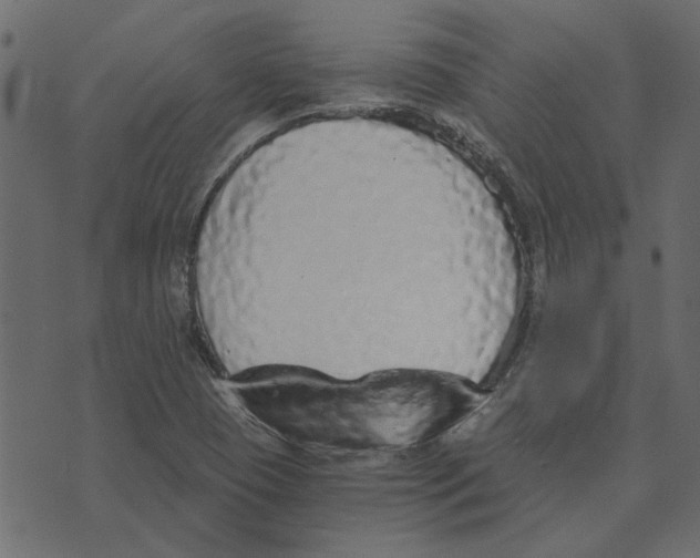 X0000072961409200608181420