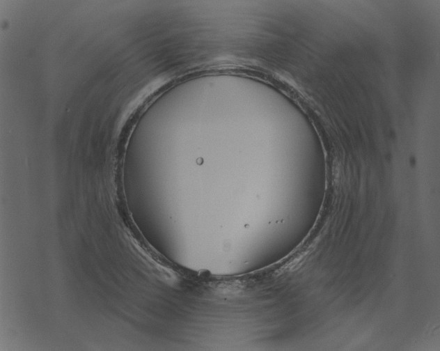 X0000072961410200608181420