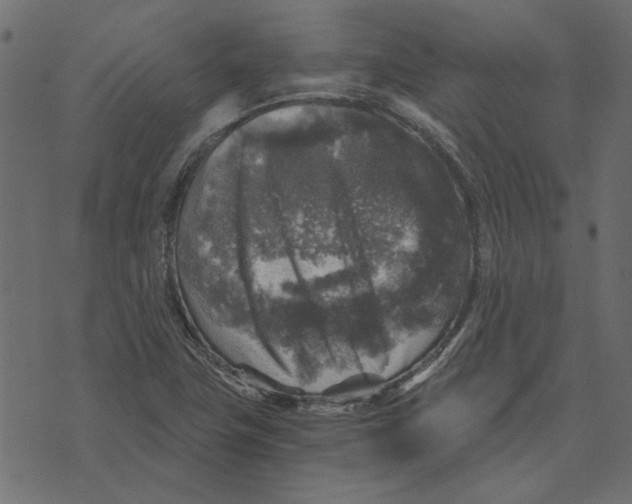 X0000072961411200608181420