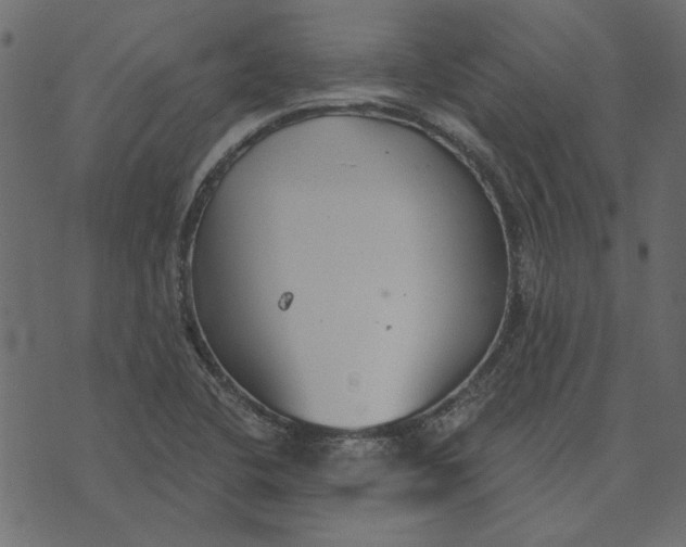 X0000072961412200608181420