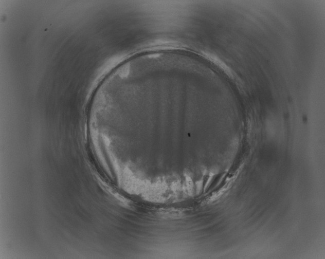 X0000072961413200608181420