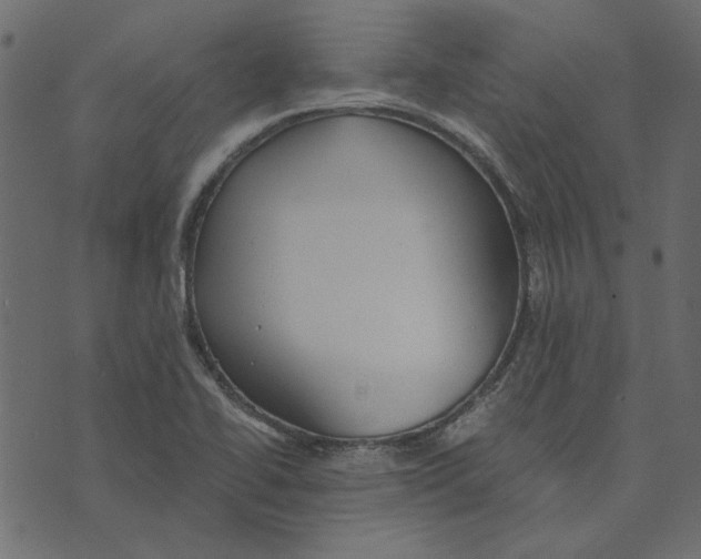 X0000072961414200608181420