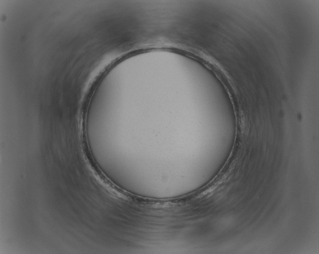 X0000072961416200608181420