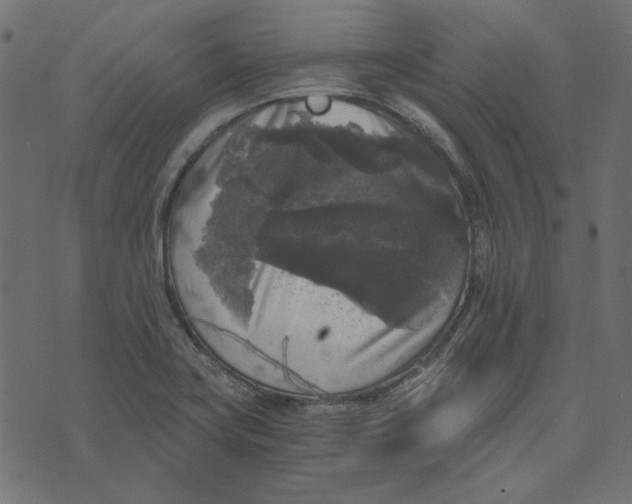 X0000072961419200608181420