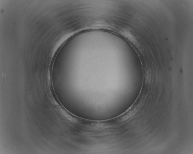 X0000072961420200608181420