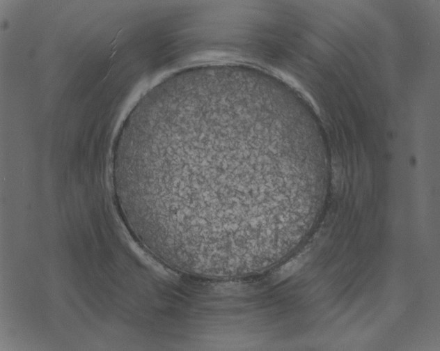 X0000072961421200608181420