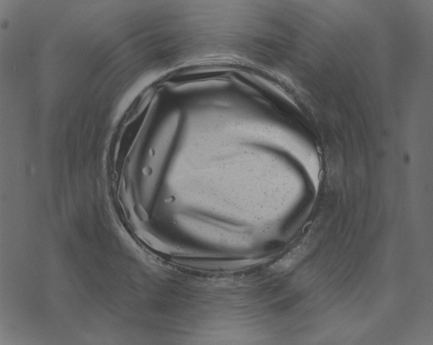 X0000072961422200608181420