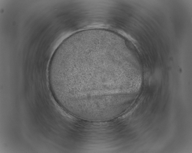 X0000072961423200608181420