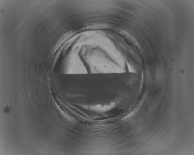 X0000072961425200608181420