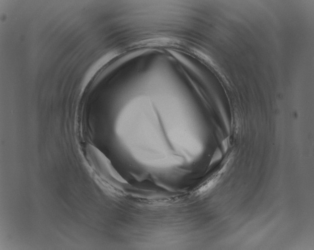 X0000072961426200608181420