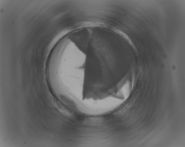 X0000072961427200608181420