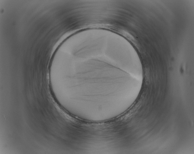 X0000072961428200608181420