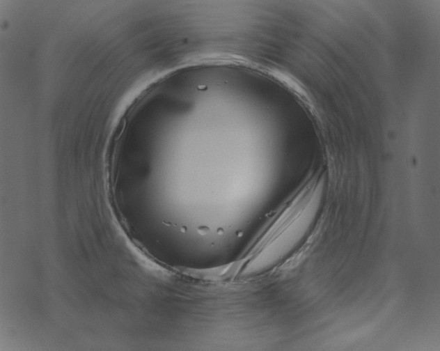 X0000072961430200608181420