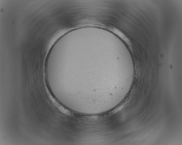 X0000072961431200608181420