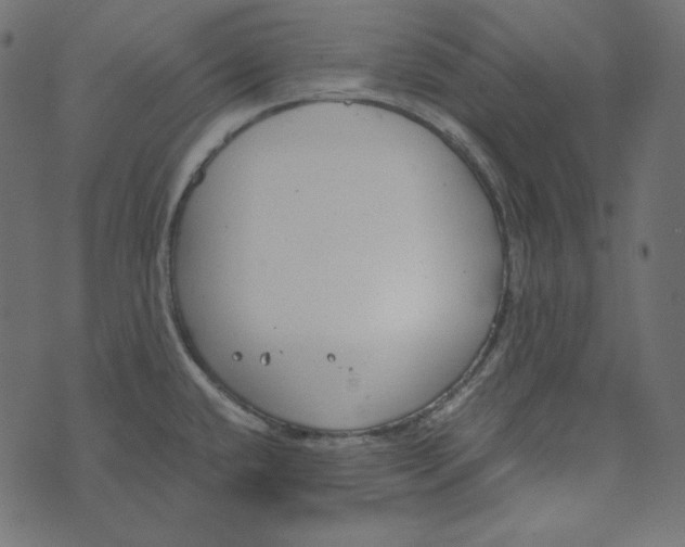 X0000072961432200608181420