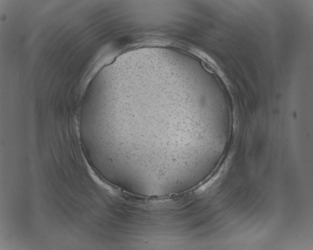 X0000072961433200608181420