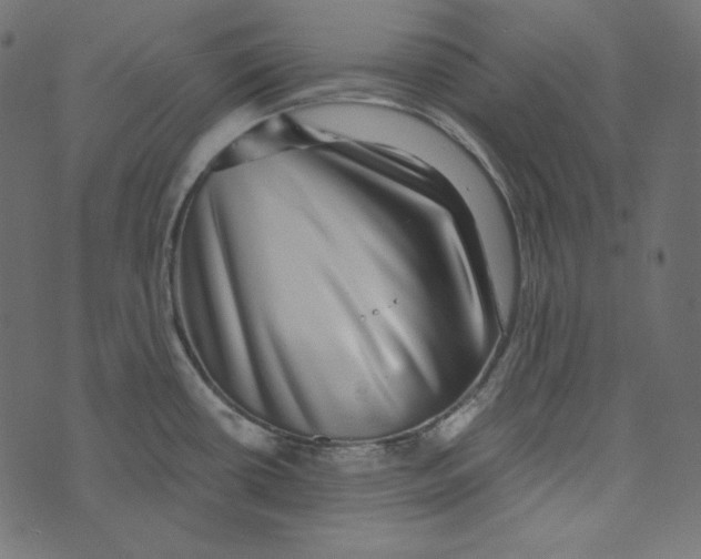 X0000072961434200608181420