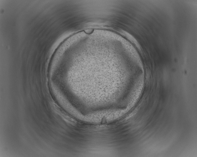 X0000072961435200608181420