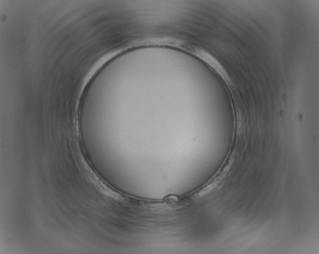 X0000072961436200608181420