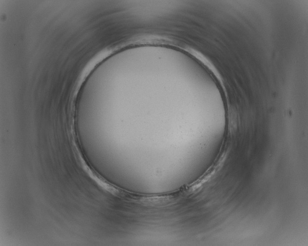 X0000072961437200608181420