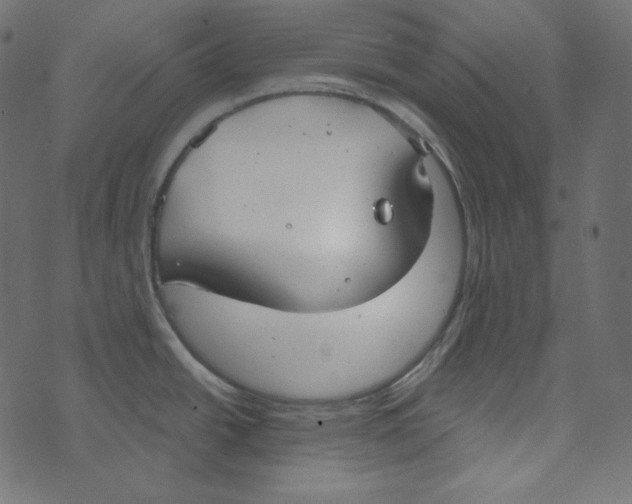 X0000072961438200608181420