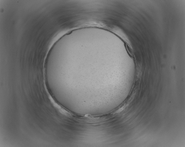 X0000072961439200608181420