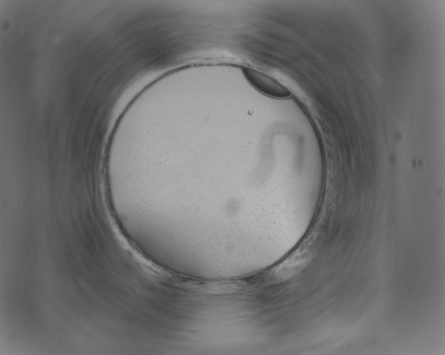 X0000072961440200608181420