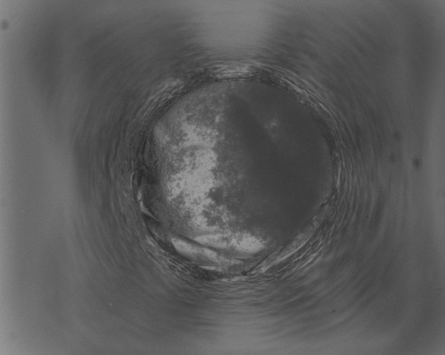 X0000072961441200608181419