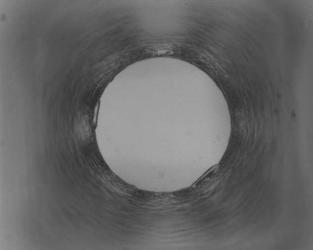 X0000072961442200608181419