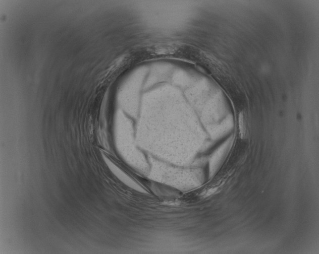 X0000072961443200608181419