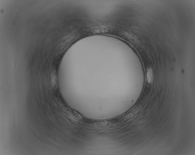 X0000072961444200608181419